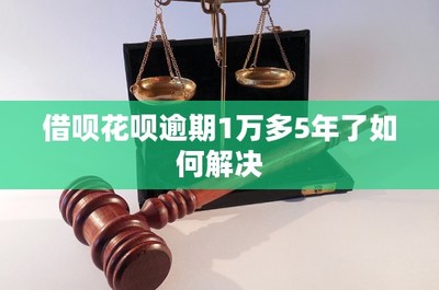 借唄花唄逾期1萬多5年未還的法律后果及解決方案