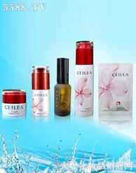 廣州雪盈美容用品 匠心打造美容美體新體驗(yàn)